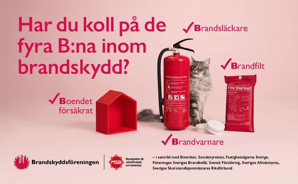 Foto med en hylla i formen av ett hus, en brandsläckare, en katt, en brandvarnare och en brandfilt 