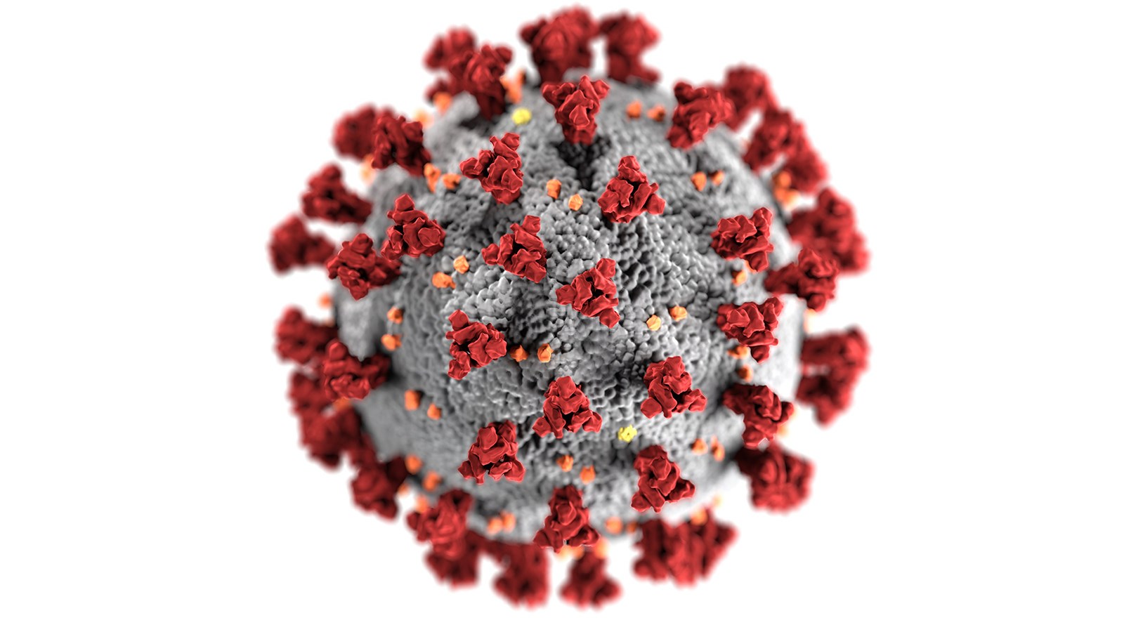 Illustration av viruset covid-19