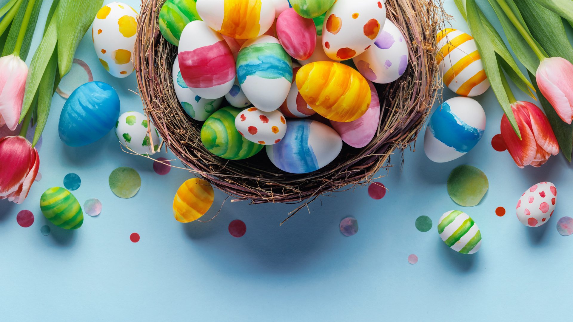 Målade ägg i en korg och tulpaner