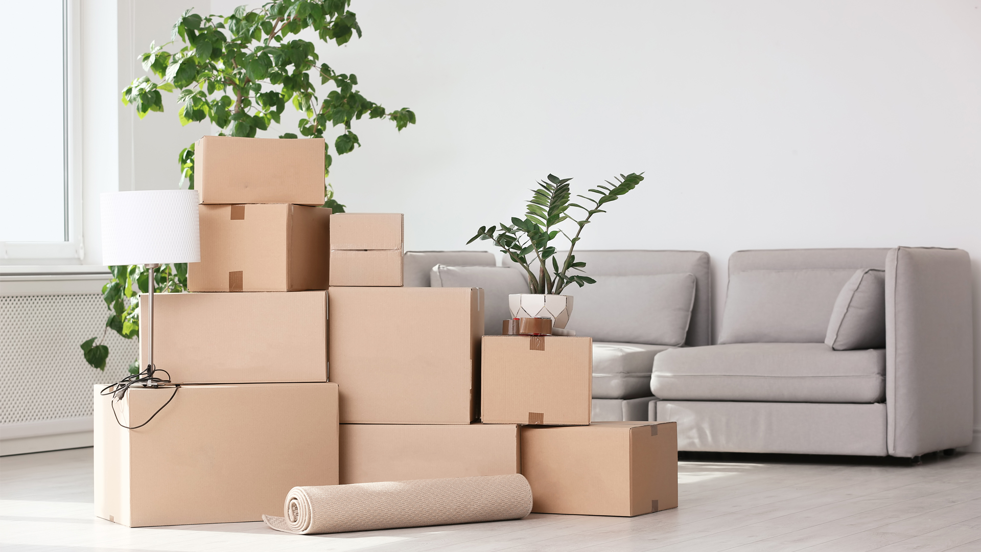 Flyttkartonger, växter och en soffa står i ett annars tomt rum